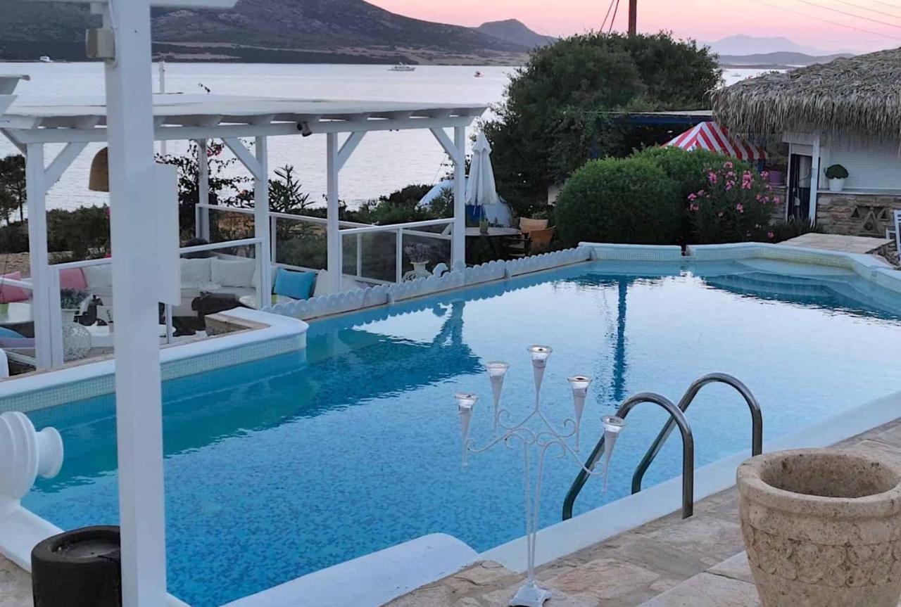 Blue Dolphin Antiparos Villas And Suites Agios Georgios  Eksteriør billede