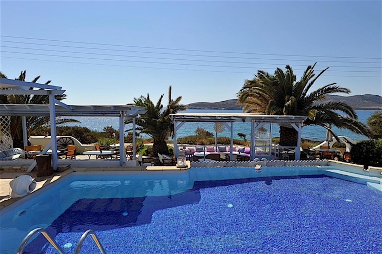 Blue Dolphin Antiparos Villas And Suites Agios Georgios  Eksteriør billede