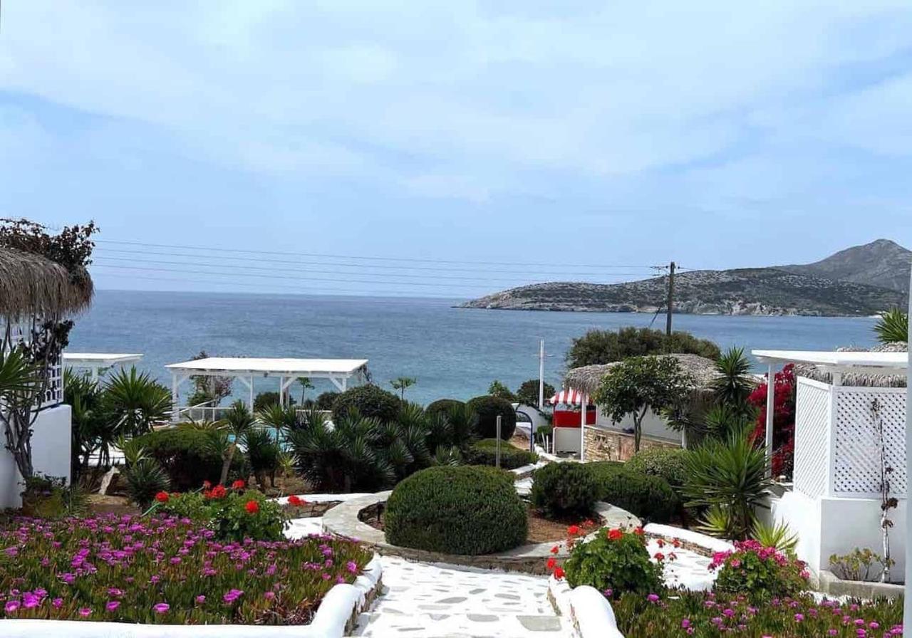 Blue Dolphin Antiparos Villas And Suites Agios Georgios  Eksteriør billede